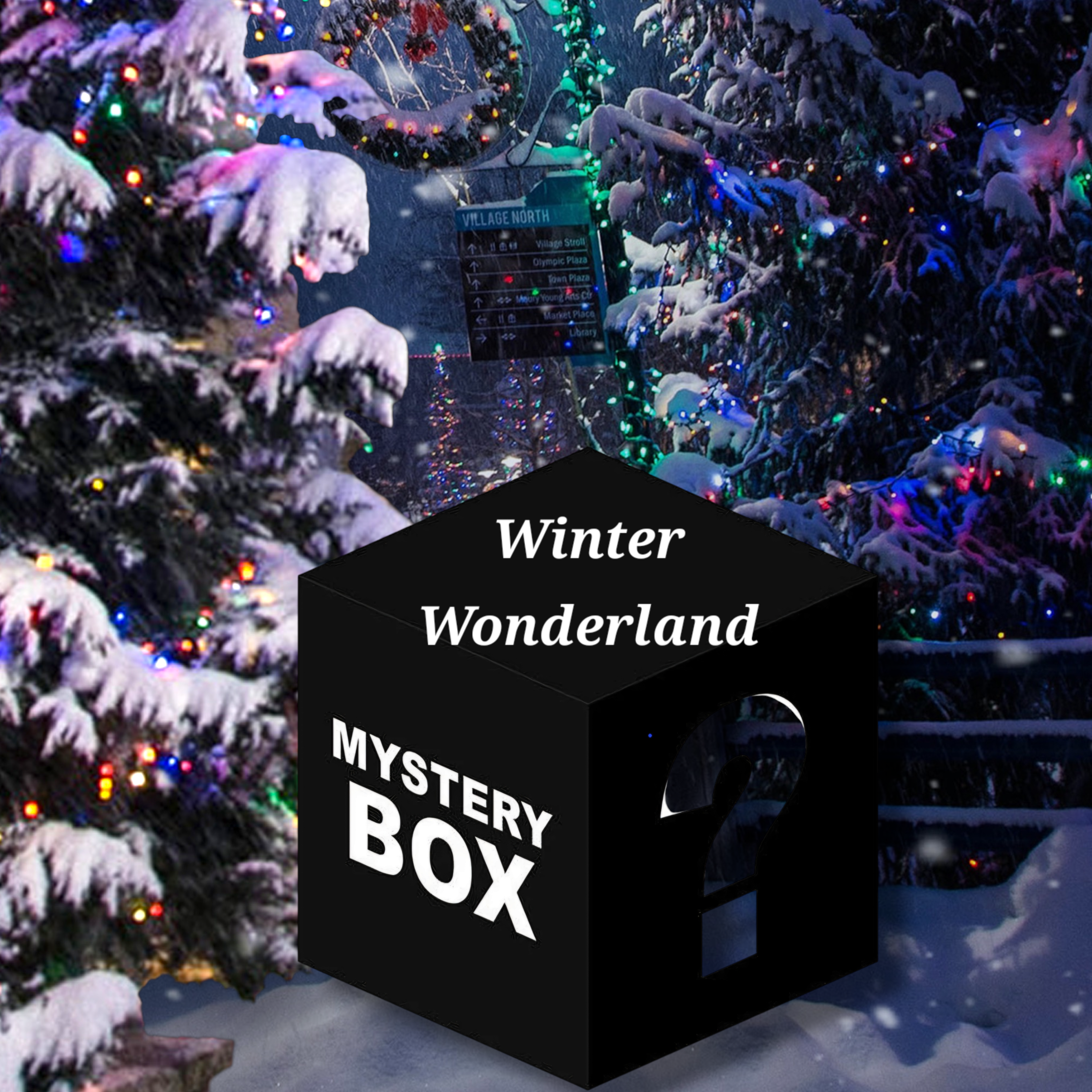 Winter Wonderland Mystery Box